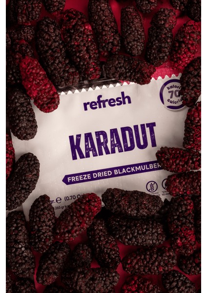 Freeze Dried Karadut - Dondurularak Kurutulmuş Meyve - Freeze Dry Meyve Kurusu 30gr
