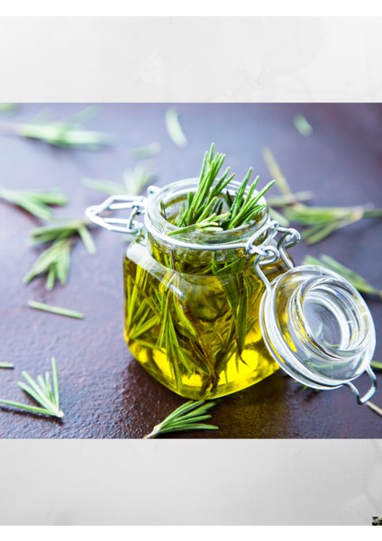 Doğaltercih Biberiye Uçucu Yağı 10 ml Katkısız %100 Saf ve Doğal (Rosemary Oil)