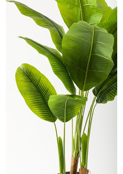 Yapay Muz Ağacı 200 cm 17 Yaprak Balon Saksı fiyatları