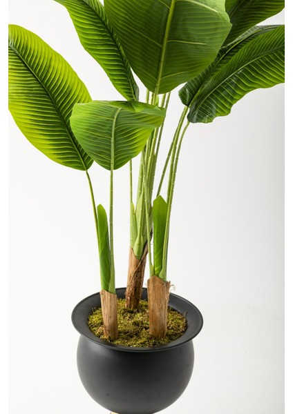 Yapay Muz Ağacı 200 cm 17 Yaprak Balon Saksı modelleri