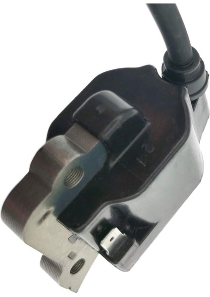 Otomobil Parçaları Bobin Çim Biçme Makinesi Motor Ateşleme Bobini Modülü Echo EB650 Testere Motor Motor Çalı Kesici Ot Yiyen (Yurt Dışından) indirimleri