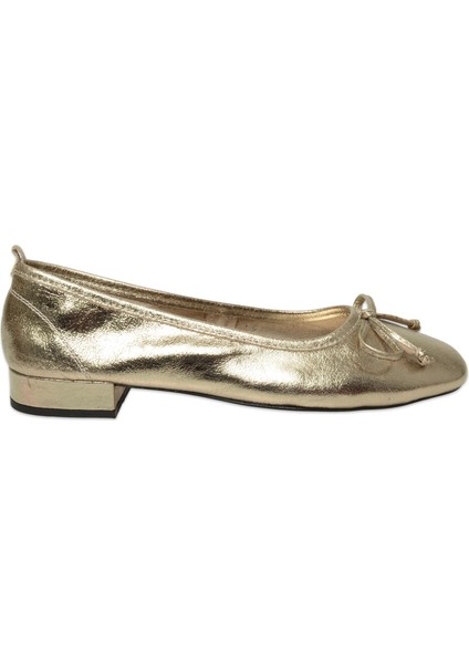 D25YA-810Z Günlük Gümüş Kadın Babet fiyatları