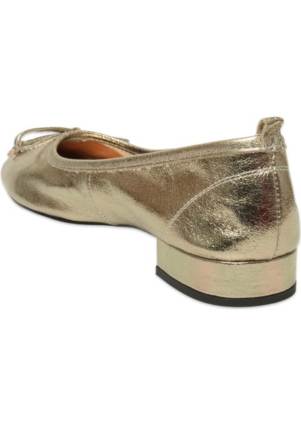 D25YA-810Z Günlük Gümüş Kadın Babet fırsatları