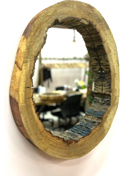 Oval Kütük Ayna
