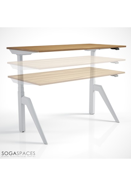 Regula Desk Dandy M - Elektrikli Yüksekliği Ayarlanabilir Çalışma Masası - Beyaz Ayak Antrasit Tabla 220X90