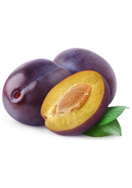 Stanley Birton Erik Fidanı - Tüplü ve Aşılı 3 Adet fiyatları