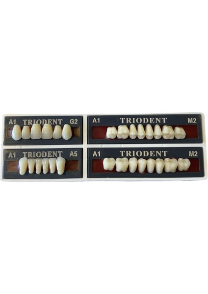 Trıodent 28 Lik Takım Diş ( A1 - M2 )