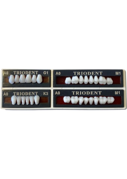 Trıodent 28 Lik Takım Diş ( A0 - M1 )