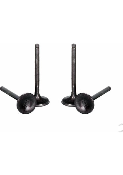 Yıldırım Emme Egzoz Subap Takımı 4'lü Orjinal Bajaj Pulsar Ns 200 RS200