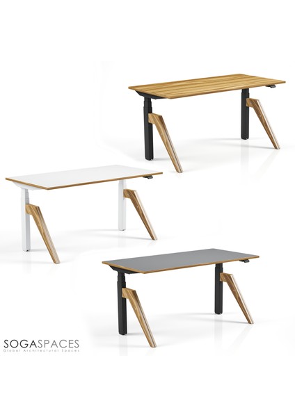 Regula Desk Dandy W - Elektrikli Yüksekliği Ayarlanabilir Çalışma Masası - Beyaz Ayak Ahşap Mdf Tabla 120X60