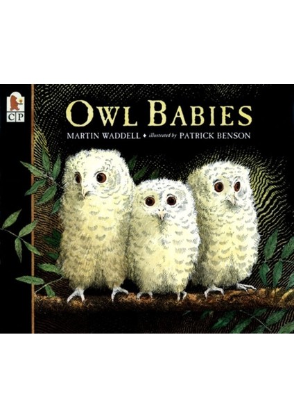 Owl Babies