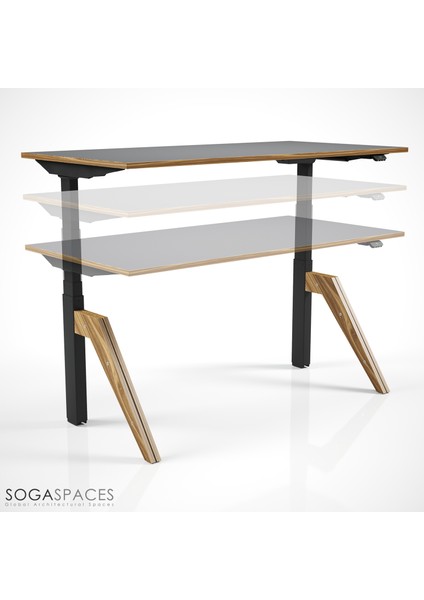 Regula Desk Dandy W - Elektrikli Yüksekliği Ayarlanabilir Çalışma Masası - Siyah Ayak Antrasit Tabla 120X60