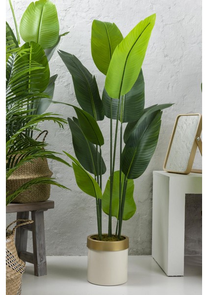 Yapay Starliçe Ağacı 160 cm Geniş Yapraklı Krem Gold Saksı fiyatları