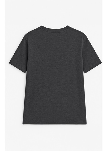 Erkek %100 Pamuk Bisiklet Yaka Baskılı T-Shirt fiyatları