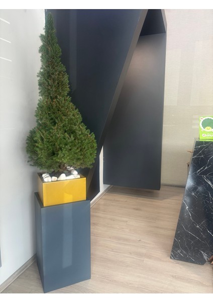 Flora Alüminyum Gold Detaylı Dış Mekan Saksı fiyatları