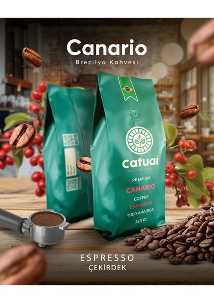 Premium Canario Çekirdek Espresso Kahve 250 Gram fiyatları