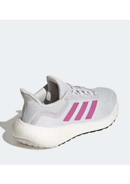 Pureboost Jet GW9147 modelleri