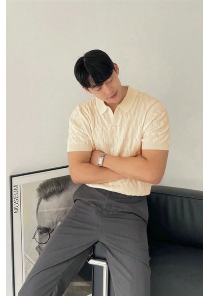 Erkek Taş Ince Saç Örgülü Slim Fit Polo Yaka Triko T-Shirt fırsatları