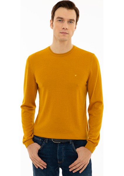 Erkek Sarı Slim Fit Bisiklet Yaka Basic Triko Kazak 50227052-VR044