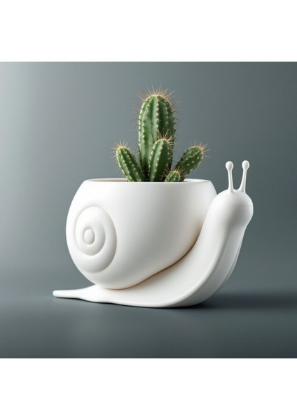 Salyangoz Kaktüs Saksı Home Dekor