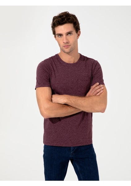 Erkek Bordo Bisiklet Yaka Slim Fit T-Shirt 50240270-VR014 fırsatları
