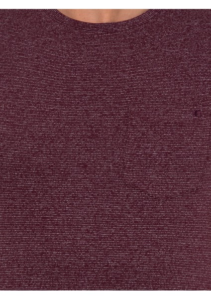 Erkek Bordo Bisiklet Yaka Slim Fit T-Shirt 50240270-VR014