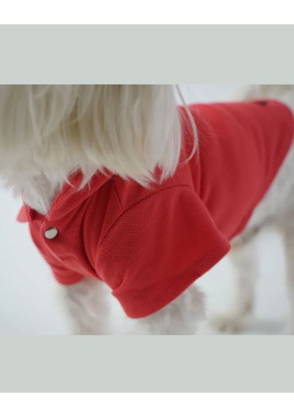 Kedi Köpek Yazlık Kıyafet – Narçiçeği Polo Yaka Tişört modelleri