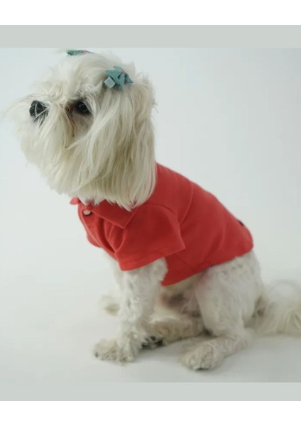 Kedi Köpek Yazlık Kıyafet – Narçiçeği Polo Yaka Tişört fırsatları