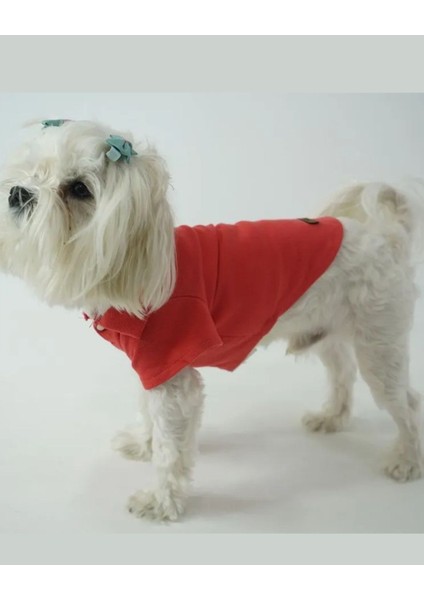 Kedi Köpek Yazlık Kıyafet – Narçiçeği Polo Yaka Tişört indirimleri