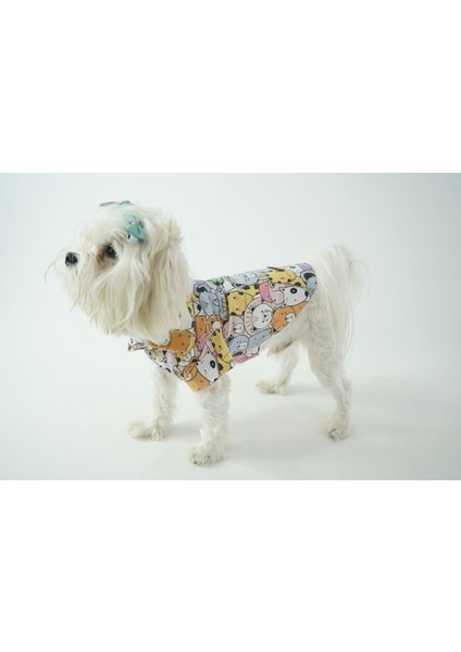 Kedi Köpek Yazlık Kıyafet – Karışık Hayvan Desenli Poplin Tişört modelleri