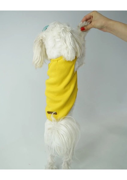 Kedi Köpek Yazlık Kıyafet – Sarı Atlet indirimleri