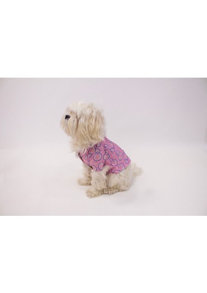 Kedi Köpek Kışlık Kıyafet – Pembe Baloncuklu Yağmurluk