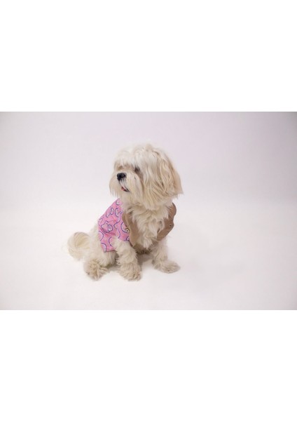 Kedi Köpek Kışlık Kıyafet – Pembe Baloncuklu Yağmurluk