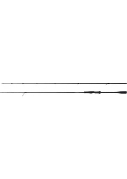 Kamış Dialuna Spinning Inshore S96M 9'6" 7-38G