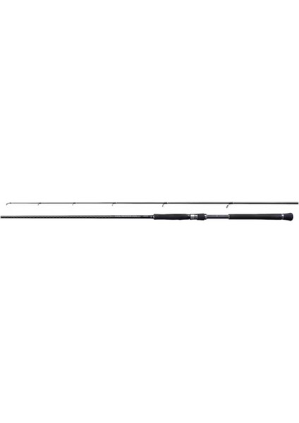 Kamış Currentsniper Xr S96M 2,90M 9'6" 56G JIG70G 2pc