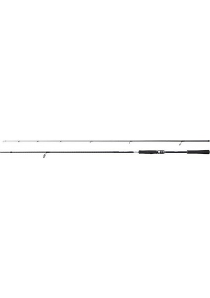 Kamış Moonshot Spinning Inshore 2,90M 9'6" Plug 8-42G Jig 50G