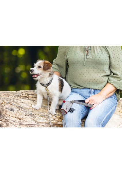 Köpek Dışkı Toplama Poşeti Taşıma Çantası, Gri, 8X5X5CM Yktsn