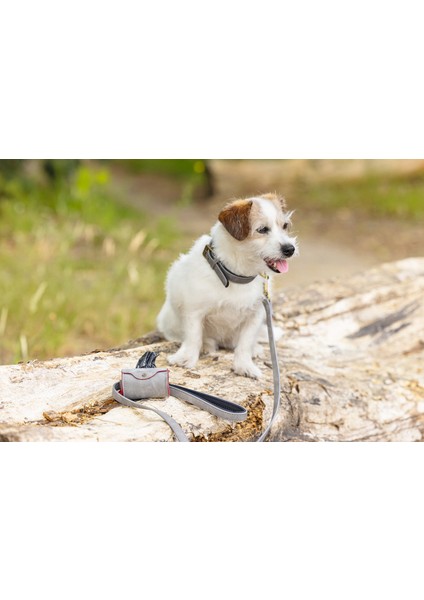 Köpek Dışkı Toplama Poşeti Taşıma Çantası, Gri, 8X5X5CM Yktsn