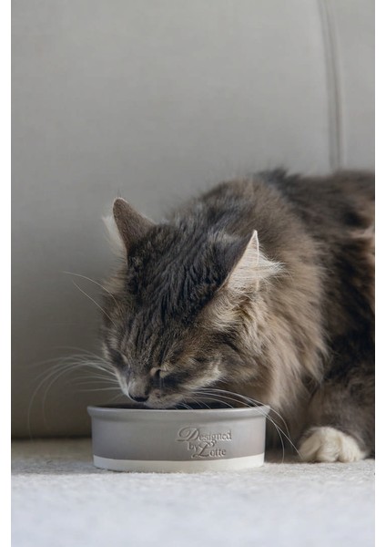 Dbl Kedi Mama Su Kabı, Seramik, Mat Gri, 12CM, 300ML Yktsn