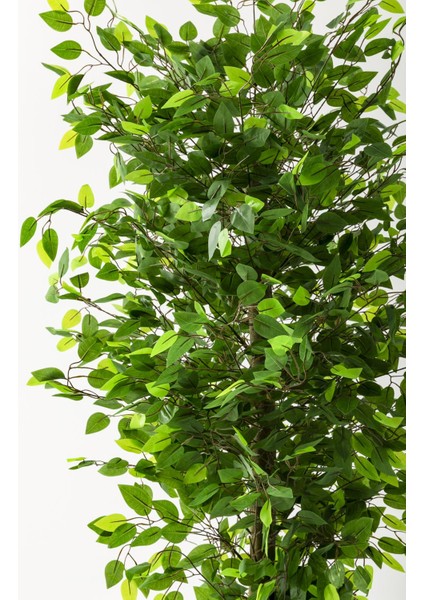 Yapay Benjamin Ağacı 180 cm Krem Gold Metal Saksı fiyatları