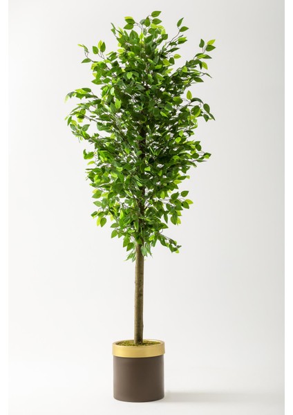 Yapay Benjamin Ağacı 180 cm Kahverengi Gold Metal Saksı