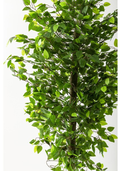 Yapay Benjamin Ağacı 180 cm Kahverengi Gold Metal Saksı fiyatları