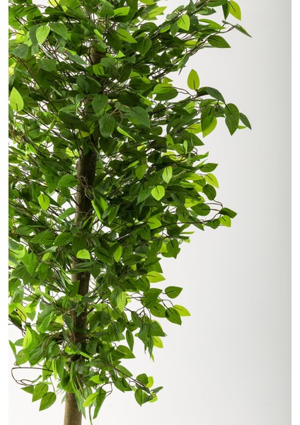 Yapay Benjamin Ağacı 180 cm Kahverengi Gold Metal Saksı modelleri