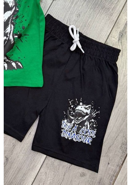 Dinozor Baskılı Yeşil Tişört ve Siyah Şort Yazlık Çocuk Takım fiyatları