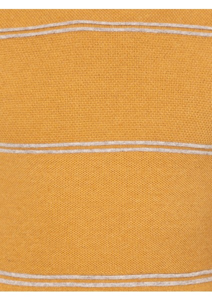 Erkek Sarı Slim Fit Yün Karışımlı Bisiklet Yaka Triko Kazak 50258829-VR044