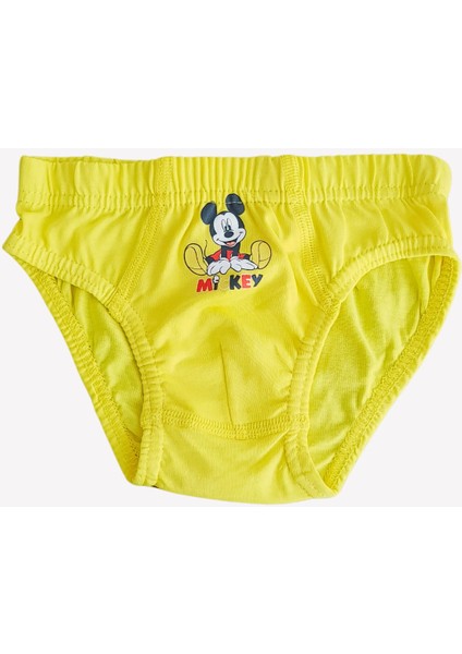 Erkek Çocuk 3 Adet Slip Külot Mickey Mouse Lisanslı