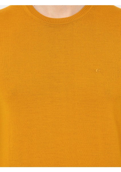 Erkek Sarı Slim Fit Bisiklet Yaka Basic Triko Kazak 50257398-VR044