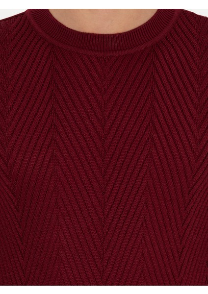 Erkek Bordo Slim Fit Bisiklet Yaka Triko Kazak 50258846-VR014