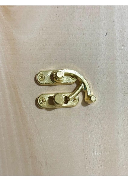 Orta Boy 2 Adet Yay Gözü Kancalı Kilit 28X33 mm Sarı Kutu Kilit fırsatları