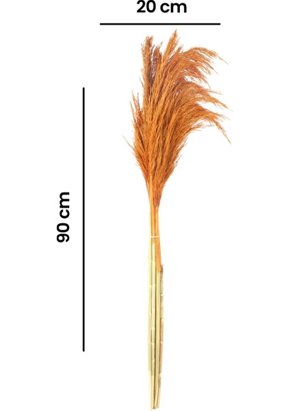 Deco Pampas Yapay Çiçek - Turuncu - 90X20 cm